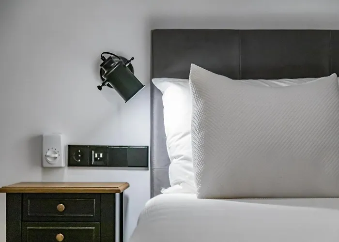 Daire Goerlich By Alma